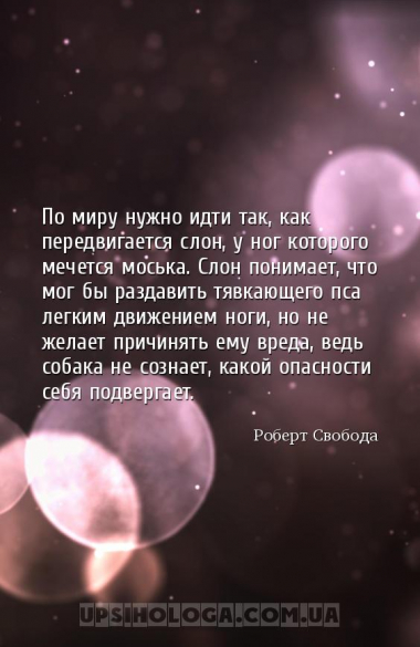 По миру нужно идти так, как передвигается слон, у ног которого мечется мось...