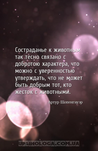 Состраданье к животным так тесно связано с добротою характера, что можно с ...