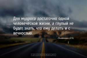 мудрые мысли глупость