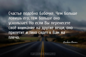 Счастье подобно бабочке. Чем больше ловишь его, тем больше оно ускользает. ...