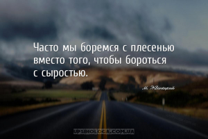 Часто мы боремся с плесенью вместо того, чтобы бороться с сыростью....
