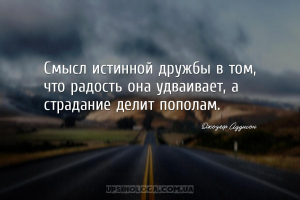 Смысл истинной дружбы в том, что радость она удваивает, а страдание делит п...