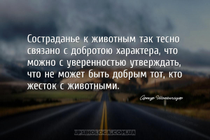Состраданье к животным так тесно связано с добротою характера, что можно с ...