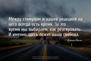 Между стимулом и нашей реакцией на него всегда есть время. За это время мы ...