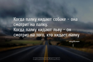 Когда палку кидают собаке – она смотрит на палку.
Когда палку кидают льву ...