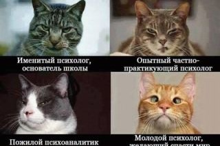 Кто такой психолог. Мифы о психологах.