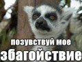 психологический тест