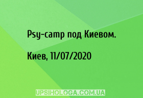 Psy-camp  .