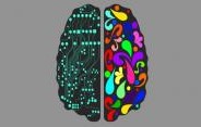 Левый мозг vs правый мозг: гимнастика для ума